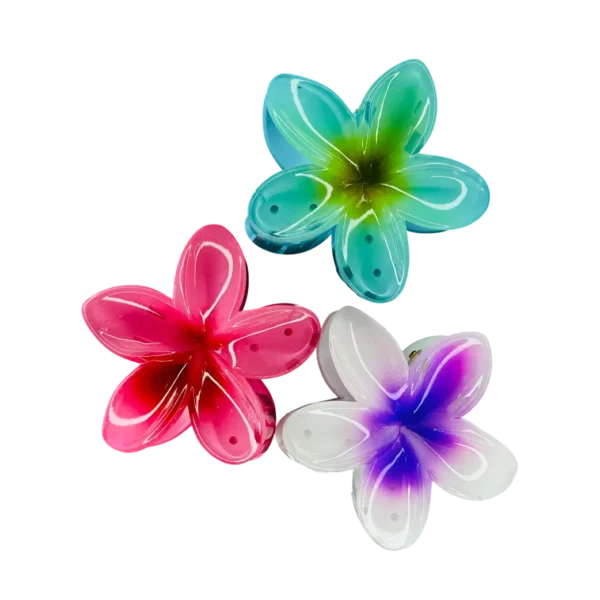 Zyroka Resin Flower Hair Clips – Set of 3